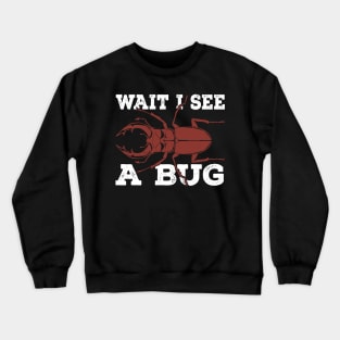 Wait I See A Bug Research Entomologist Gift Crewneck Sweatshirt
